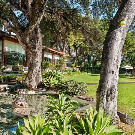 Don Pepe Gran Melia
